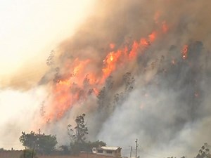 Raw: Forest Fires Shroud Quito In Smoke