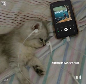 3.4K views · 62 reactions | Winter passed and winter came again but you did not come!  | Ｄｅａｄ Ｓｏｕｌ | Facebook