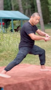 42K views · 10K reactions | What Gives Power to Shaolin Kung Fu Forms? | Shifuyanlei | Facebook