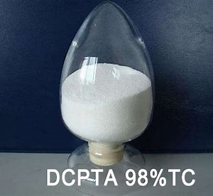 [Hot Item] Agrochemicals Dcpta 98%Tc CAS No. 65202-07-5