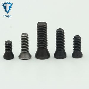 [Hot Item] Precision Torx Head CNC Machine Screw for Insert Carbide