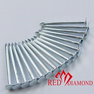 [Hot Item] Clouts Nail/Ceiling Nail/Felt Nail/Big Head Nail Flat Head Smooth Shank Zinc Coated