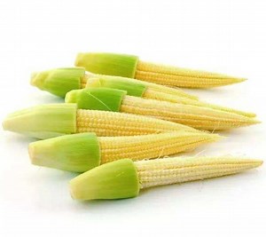 [Hot Item] Frozen Baby Corn Whole, IQF Young Corn Whole, Frozen Corn Shoot, Baby Corn Cut, Pearl Shoots