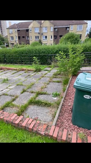 #gardening #garden #edinburghlife #edinburgh #gardenlife | AJ garden care