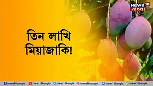 2.7K views · 71 reactions | Mango : ফলের রাজা আম আর সেই আমের রাজা নাকি মিয়াজাকি, বিশ্বের সবচেয়ে দামি আম #Mango #News18Bangla #ExpensiveMango | News18 Bangla | Facebook