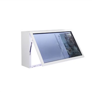 [Hot Item] Senke 43" Transparent LCD Display Box