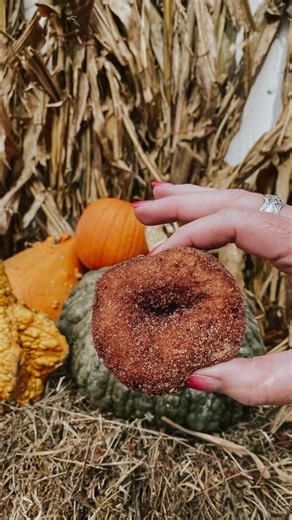 7.6K views · 51 reactions |  Junkstock is all about the tasty treats! Check out the 40+ food vendors coming this fall in our latest Guide! The food vendor list is also online at junkstock.com/food-vendors-2022 for your viewing pleasure. #junkstock #eatlocal #foodie #foodfestival #festivalfood | Junkstock | Facebook