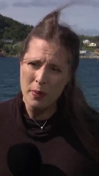 Why Dildo, N.L., residents support Jimmy Kimmel