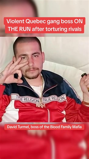 The Boss of the infamous Montreal Street gang, Blood Family Mafia, is currently on the run after he and his crew kidnapped and tortured numerous members of the Hells Angels MC. #mafia #gangster #gangsta #gang #montreal #quebec