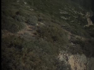 8.3K views · 782 reactions | Going back to the corner | Ｔｉｍ | Facebook