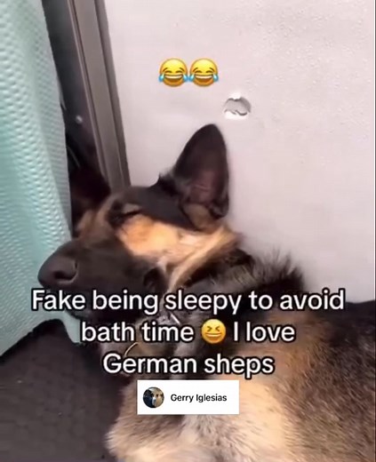 Take a bath: 😴😴 Take a walk: 😍😍 | Gerry Iglesias