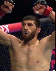 Do you think Magomed Ankalaev leaves #UFC282 as light heavyweight champion? | UFC