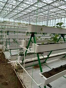 [Hot Item] PVC Nft Channel Growing Hydroponics System Greenhouse for Planting Strawberry/Tomato/Cucumbers