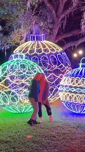 98 reactions · 176 shares | It all starts this month, and we’re ready to light up Orlando! ✨ Dazzling Nights, presented by AdventHealth, returns to Leu Gardens totally redesigned — new installations, new live entertainment, and more sparkle than ever before. Stand beneath a 50-foot star, wander glowing gardens, and sip festive drinks under the trees. ️ Get your tickets now for the best dates — opening November 28 and selling fast! | Creative City Project | Facebook