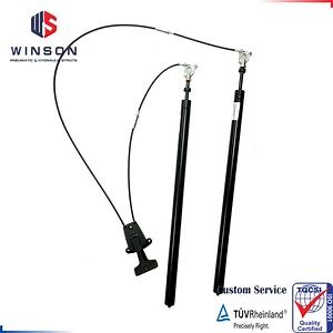 [Hot Item] Medical Healthare Bed Rigid Lockable Gas Spring Struts