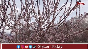 Spring 🌸 Ghizer Gilgit Baltistan | Ghizer ToDay
