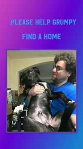 ❗️❗️Grumpy Needs a Foster Home ❗️❗️ Grumpy is a sweet, happy-go-lucky guy but, as often happens, he is starting to deteriorate in boarding. We DESPERATELY need a foster for him. He is an almost 5-year-old mix breed. He was adopted out as a puppy but his owner passed away very unexpectedly and because we don't have any open foster homes he has been stuck in boarding for months. Prior to being boarded, he was great with all dogs and people and although he likes cats he does chase them. He is getti