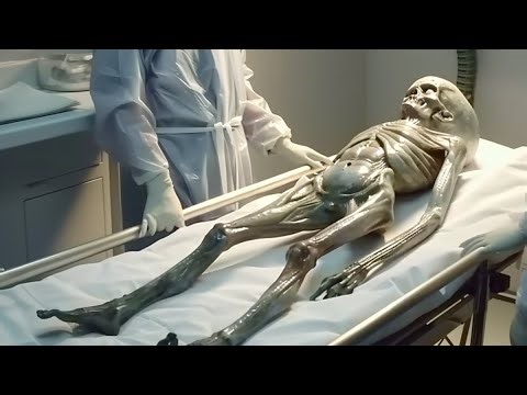 Real Footage Of Aliens Caught On Camera