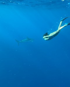 Mabel Chee on Instagram: "🌺🦈"