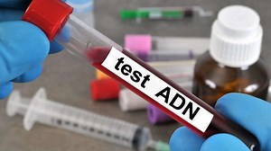 Matricide à L’Avenir il y a 25 mois : Nazma Rummun a été tuée chez elle, selon des tests ADN