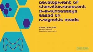 Development of Chemiluminescent Immunoassays Based on Magnetic Beads
