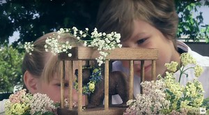 The 'Midsommar' Bear Toys Are the Perfect Gift for the Evil Cultists in Your Life