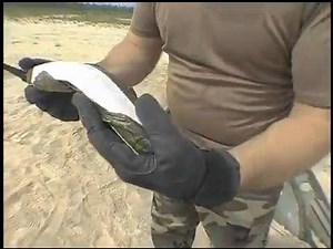 C4 Explosive Explained