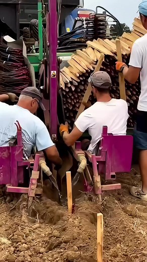 129K views · 263 reactions | The machine presses soil around them, ensuring fast, uniform planting over large areas. #fblifestyle | Taylor’s on Toft | Facebook