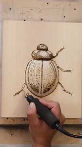 Beetle skull. Wood carving, pyrography. #woodcarving | Oleksandr Hrytsai. Wood Carving
