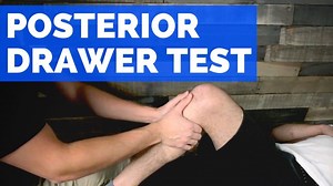 Posterior Drawer Test • PTProgress