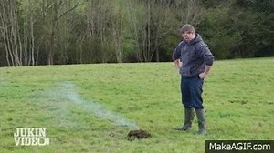 Exploding Cow Pie on Make a GIF