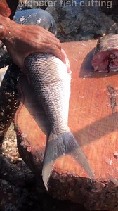 255K views · 1.3K reactions | This meat cutting skills is awesome | Monster Fish Cutting | Facebook