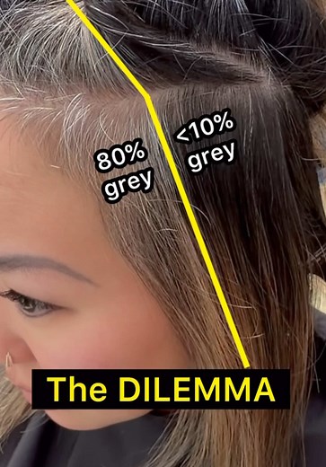 Acidic Demi Grey Blending Hair Color Formula