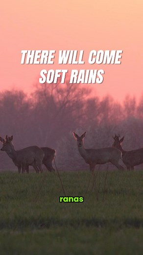 55K views · 4K reactions | ☢️ ¿Conocías esta referencia en Fallout? ☢️ #fallout #cienciaficcion | Size Matters | Facebook