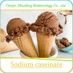 [Hot Item] Premium Food-Grade Sodium Caseinate Powder for Quick Shipping