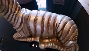 Quantum Elegant Homes on Reels