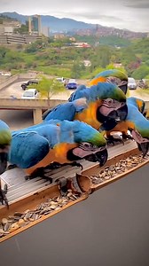 536 reactions · 53 shares | Cuidar. Proteger. Recuperar.  A natureza...