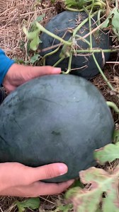 10K views · 25 reactions | Rural Rising Philippines on Reels | Facebook