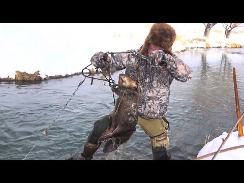 How to Use a Body Grip While Trapping