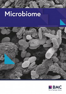 Unraveling the microbiomes contributing to biodeterioration dynamics of limestone heritage at the Longmen Grottoes archeological site - Microbiome