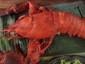 1.7K views · 39 reactions | Yummy cooking Giant Lobster recipe - Cooking skill | Cambo Best Food | Facebook