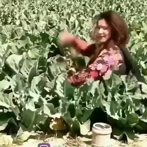 Warning 18 Kya idea hai Oye nahi laga oye nahi laga 😂🤣🤣🤣😂😂😂😂😂 | Memes Virus