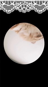 Stipe, Branka, Getruda i cijela Hrvatskaaaa danas 😻😻😻😻😻😻 | DNEVNIK.hr