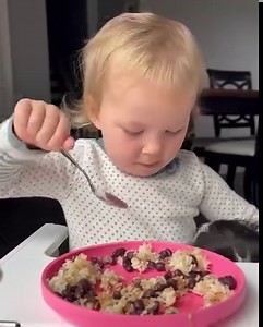 Bridgette cooks her favorite Honduran breakfast…BUT Sadie just wants to dance! Bella gets jealous…you don’t want to miss how they work it out at the end! 😳 | Plant Based Gabriel