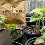 Premium Rare Marigold Seeds - 1000 Heirloom, Non-GMO Flower Seeds for Planting, Easy to Grow -Mix Large-Bloom - for Garden, Patio, Balcony – Annuals for Pollinators, Bees & Butterflies