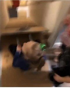 Just keep ….. 🤣🤣🤣 #Randomposts #Funnyvideo | Random Posts