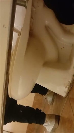 Women pooping public bathroom HUGE fart PART 1