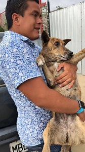 355K views · 10K reactions | Nuestra Preciosa , ingresa al ALBERGUE no creerás que es lo que tiene | Jefferson Rescata | Facebook