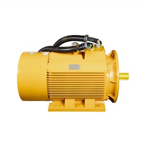 [Hot Item] Typ Series 18.5kw Variable Frequency Permanent Magnet AC Synchronous Electric Motor