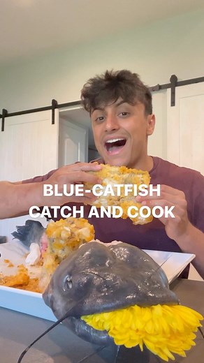 53K views · 744 reactions | BLUE CATFISH CATCH AND COOK (NOODLING)...